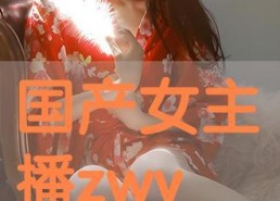 国产主播VIP,揭秘网红经济新趋势