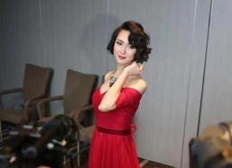 国产刘婷,闪耀舞台的璀璨之星