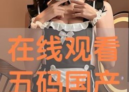 国产双飞在线,探索中国影视产业的创新与突破