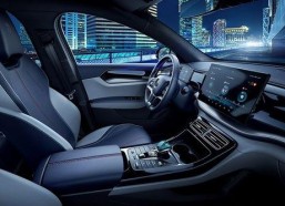 国产精品300,匠心独运，品质卓越的匠心之作