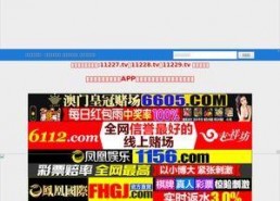 国产视频在线网站